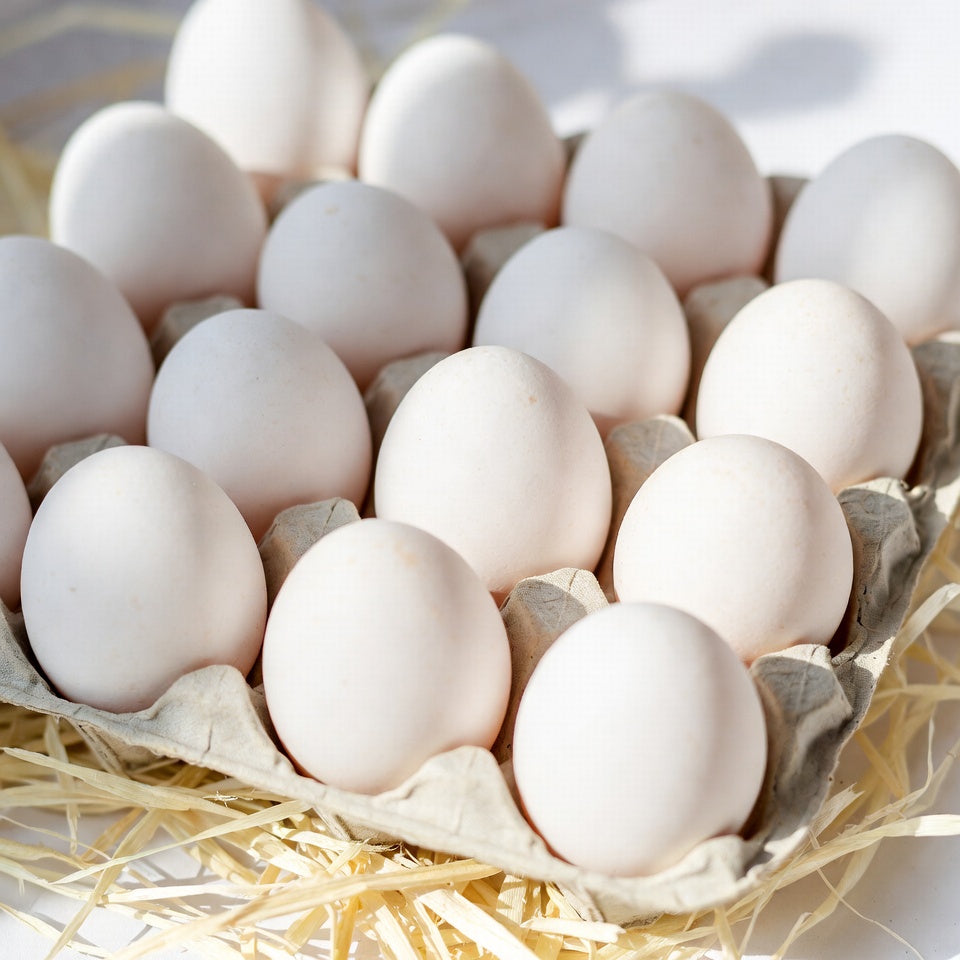 WHITE EGGS